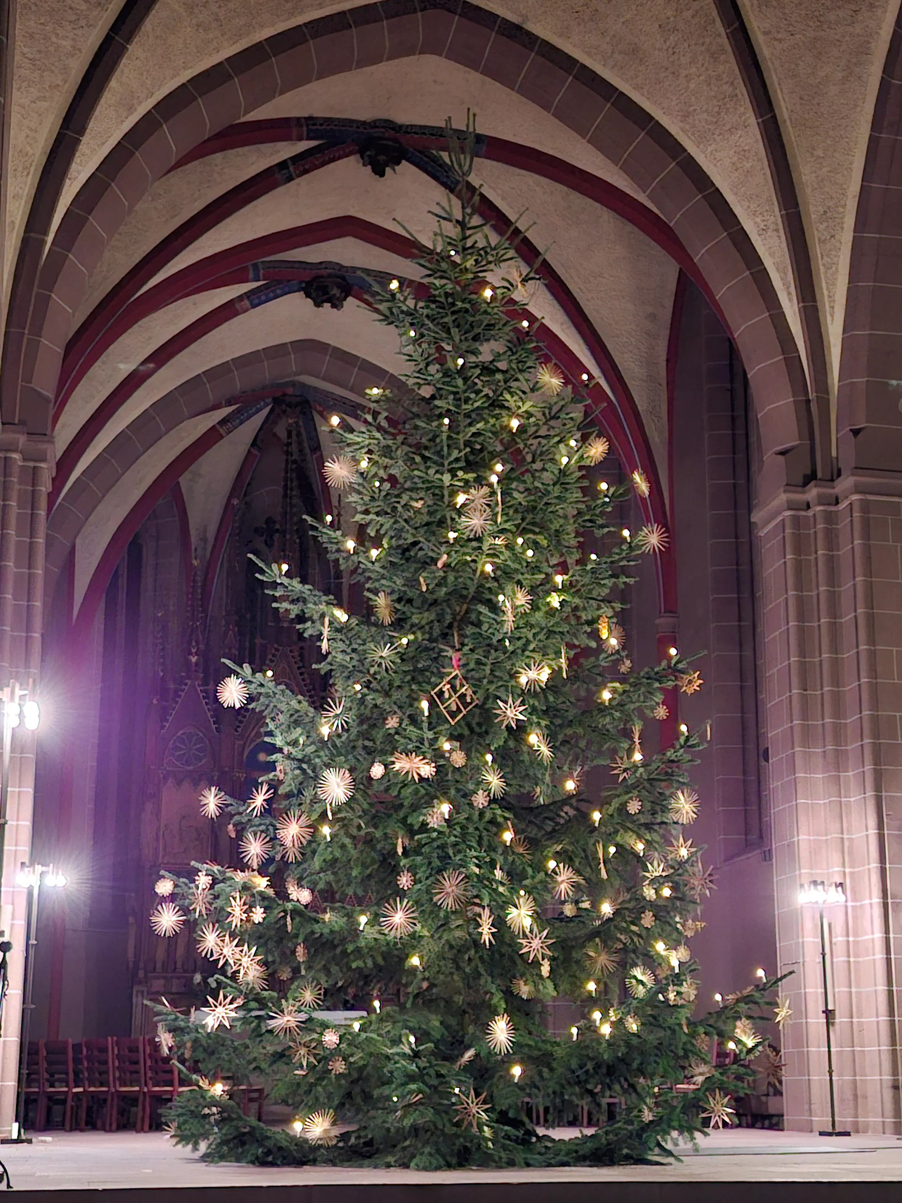 Weihnachtsbaum vor der Kirche