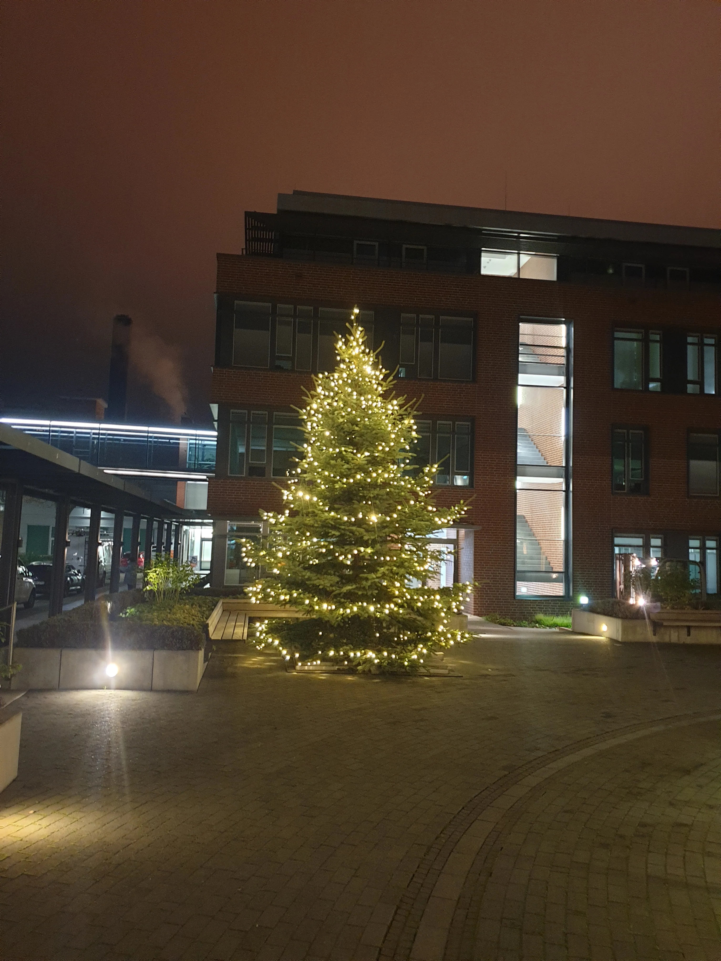 Weihnachtsbaum auf dem Platz