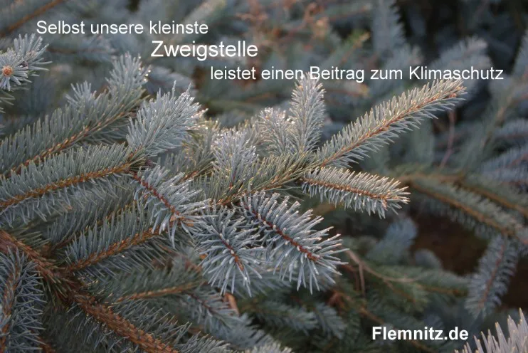 Eindrücke rund um Baum und Imkerei